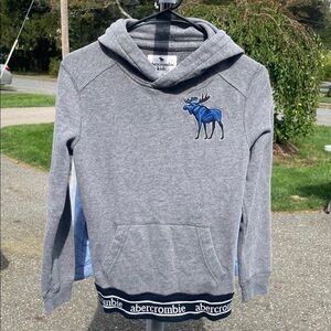Abercrombie Boys Gray Hoodie with Blue Moose Logo
